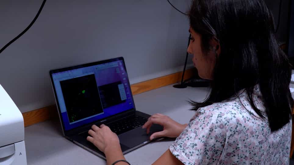 Imaging Dendritic Spines in Caenorhabditis elegans
