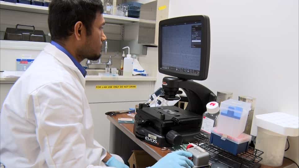 Evaluation of the In vivo Antitumor Activity of Polyanhydride IL-1α Nanoparticles