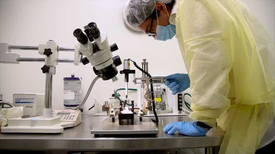 Targeting the Corticospinal Tract in Neonatal Rats with a Double-Viral Vector using Combined Brain and Spine Surgery
