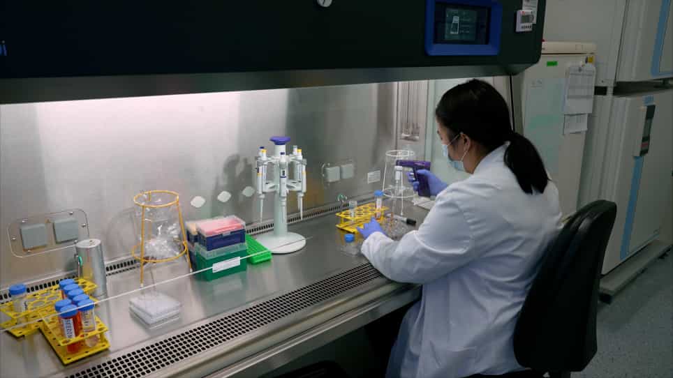 Generation of Human Brain Organoids for Mitochondrial Disease Modeling