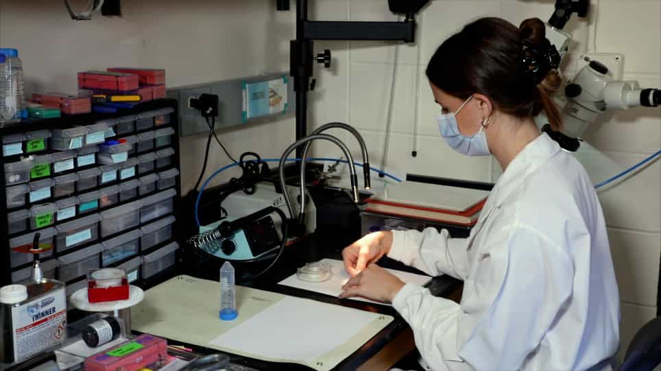 Construction and Implementation of Carbon Fiber Microelectrode Arrays for Chronic and Acute In Vivo Recordings