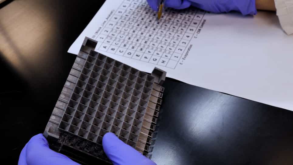 A High Throughput Microplate Feeder Assay for Quantification of Consumption in Drosophila