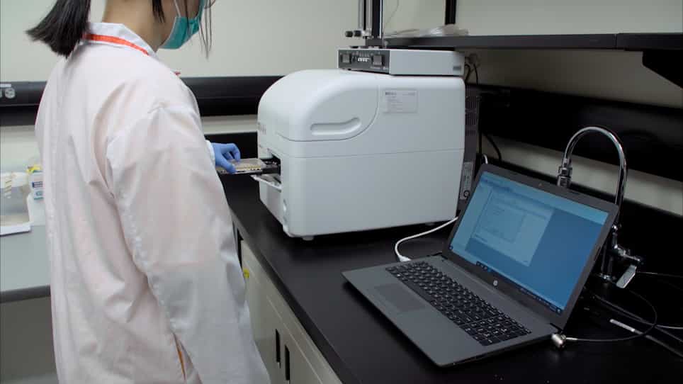 Bacteriophage Effectiveness for Biocontrol of Foodborne Pathogens Evaluated via High-Throughput Settings