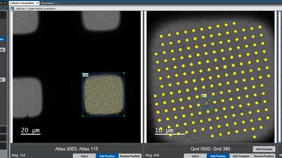 User-friendly, High-throughput, and Fully Automated Data Acquisition Software for Single-particle Cryo-electron Microscopy