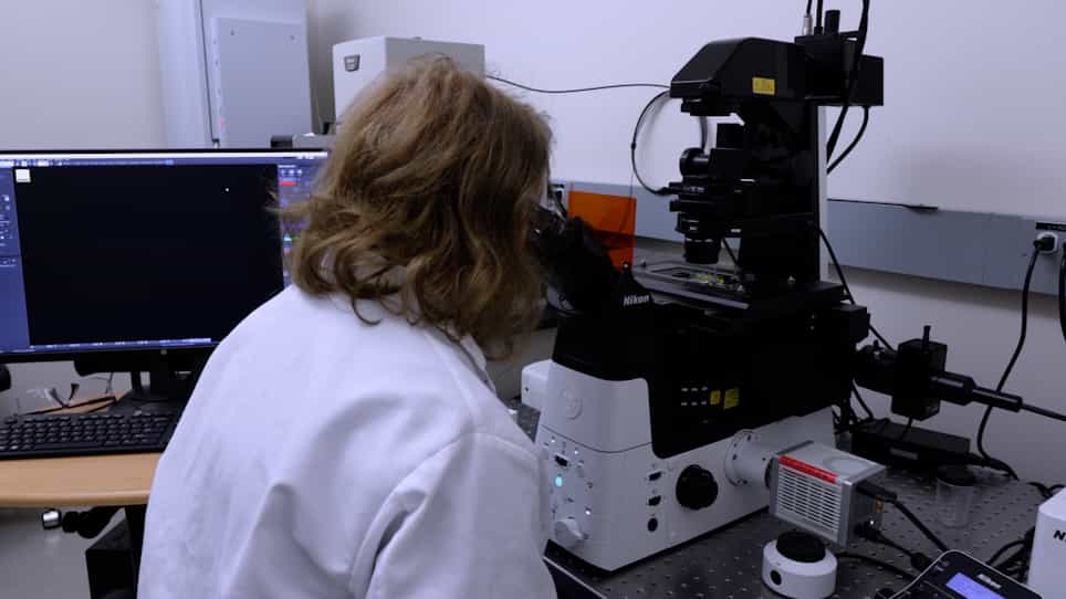 Preparation of Multifunctional Silk-Based Microcapsules Loaded with DNA Plasmids Encoding RNA Aptamers and Riboswitches