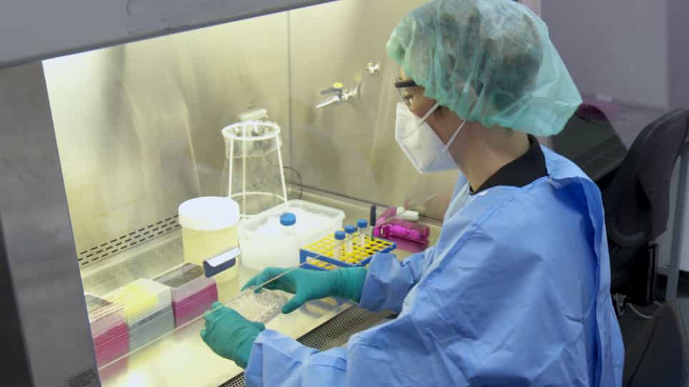 Adapting Gastrointestinal Organoids for Pathogen Infection and Single Cell Sequencing under Biosafety Level 3 BSL-3 Conditions