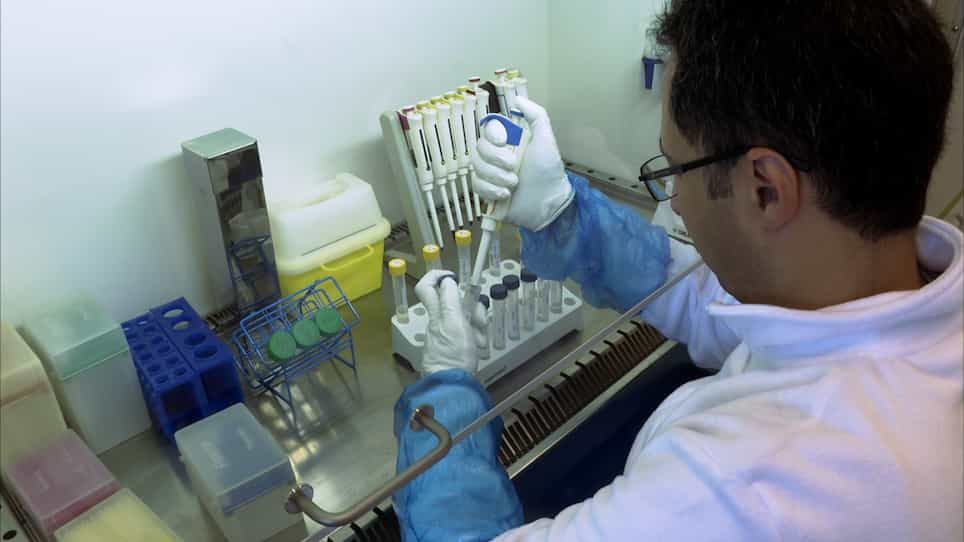 Measuring Mitochondrial Substrate Flux in Recombinant Perfringolysin O-Permeabilized Cells