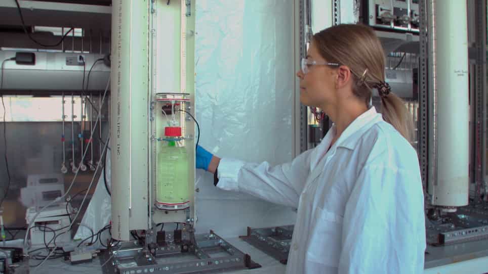 Operation of Laboratory Photobioreactors with Online Growth Measurements and Customizable Light Regimes