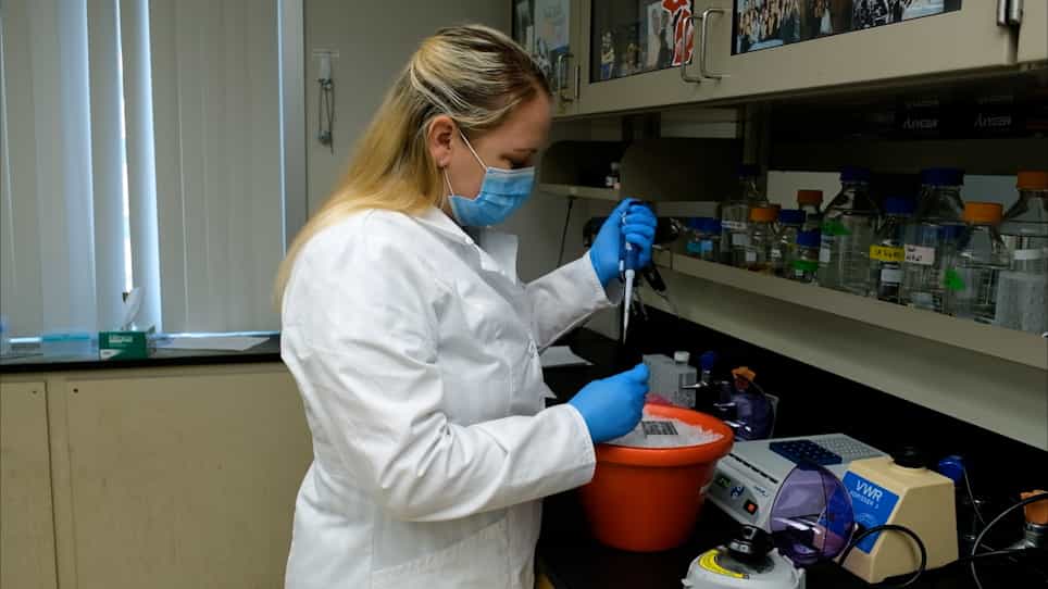 Reconstitution of Msp1 Extraction Activity with Fully Purified Components