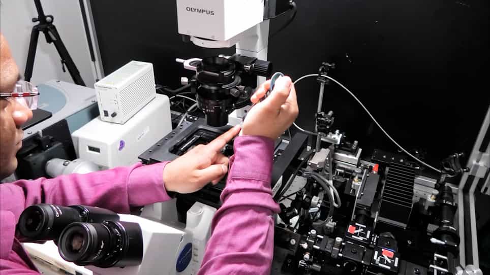 Dual-Color Fluorescence Cross-Correlation Spectroscopy to Study Protein-Protein Interaction and Protein Dynamics in Live Cells