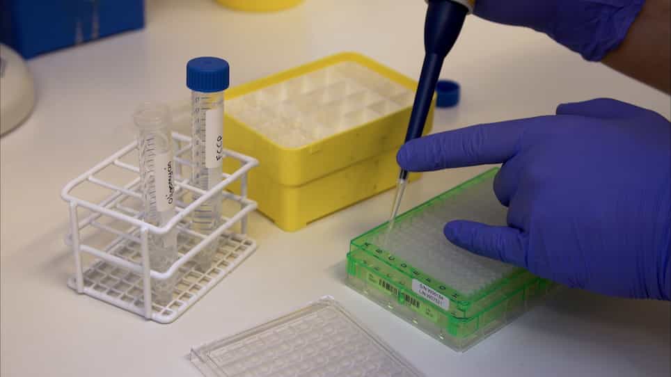 Real-time Monitoring of Mitochondrial Respiration in Cytokine-differentiated Human Primary T Cells