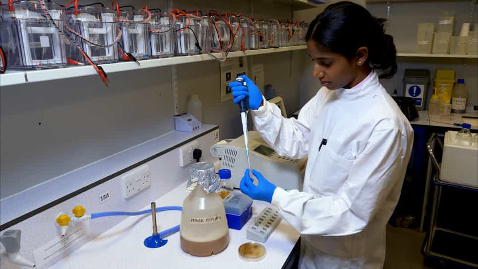 A High-Yield Streptomyces Transcription-Translation Toolkit for Synthetic Biology and Natural Product Applications