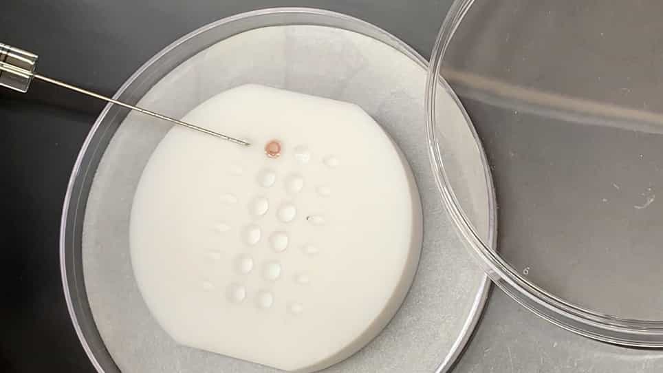 Sample Preparation using a Lipid Monolayer Method for Electron Crystallographic Studies