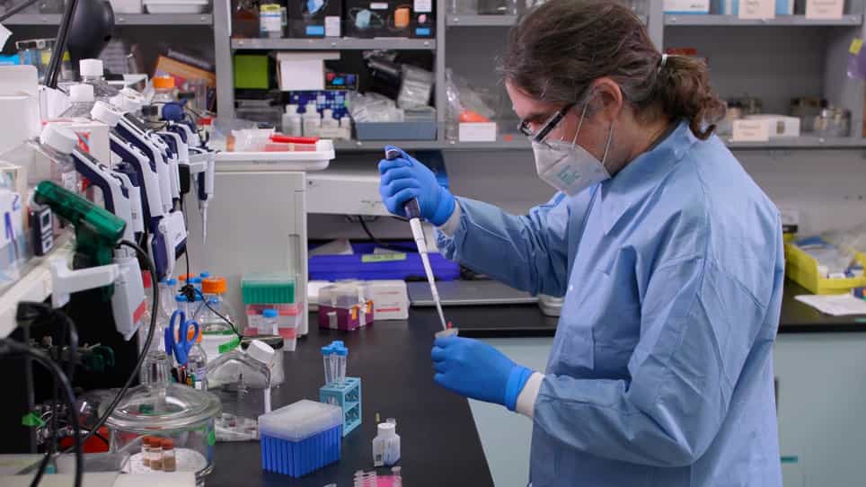Cell-Free Scaled Production and Adjuvant Addition to a Recombinant Major Outer Membrane Protein from Chlamydia muridarum for Vaccine Development