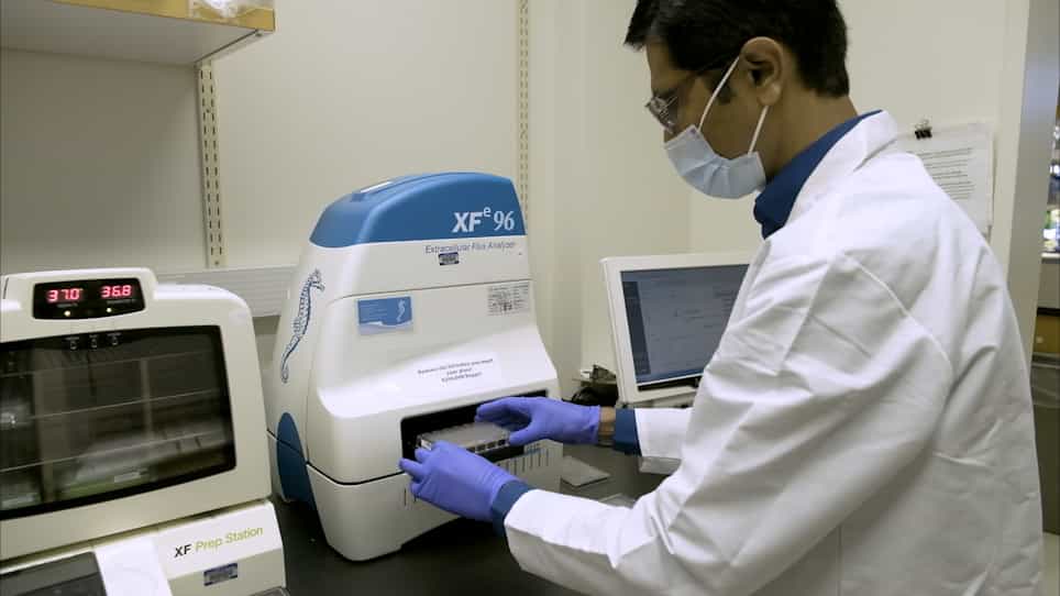 Assessment of Cellular Bioenergetics in Mouse Hematopoietic Stem and Primitive Progenitor Cells using the Extracellular Flux Analyzer