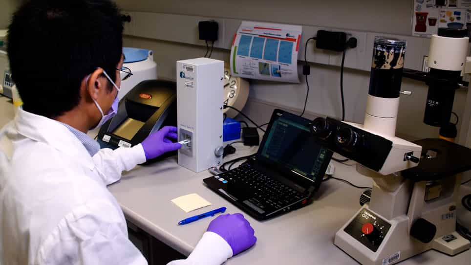 Isolation and Characterization of Mouse Primary Liver Sinusoidal Endothelial Cells