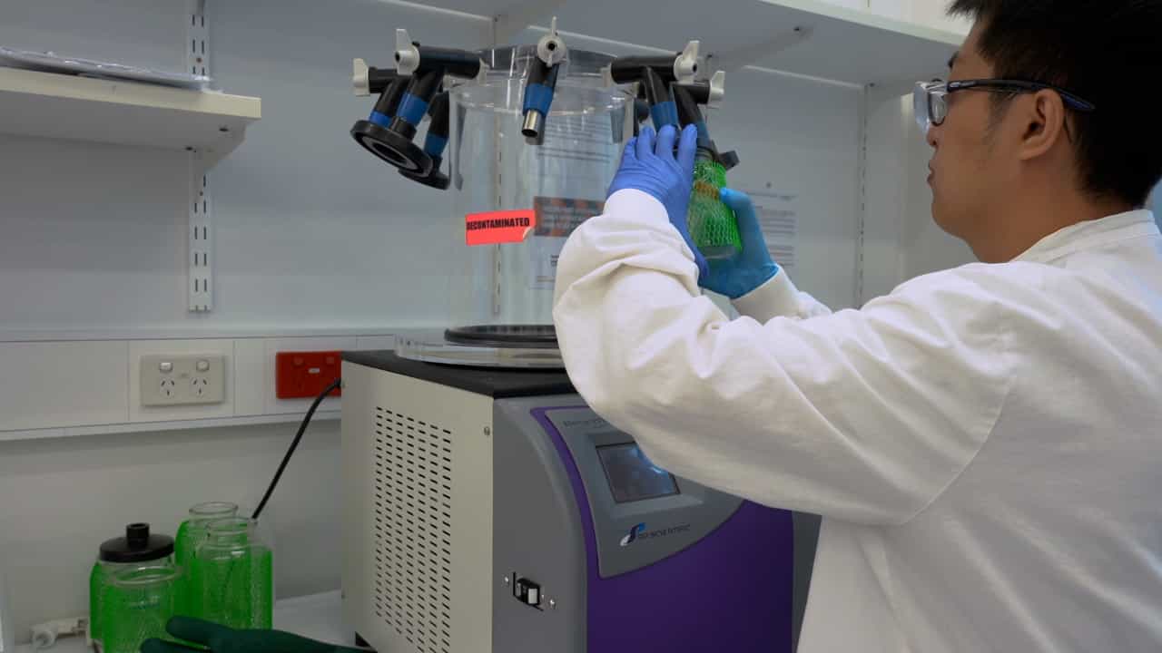 The Extraction of Liver Glycogen Molecules for Glycogen Structure Determination