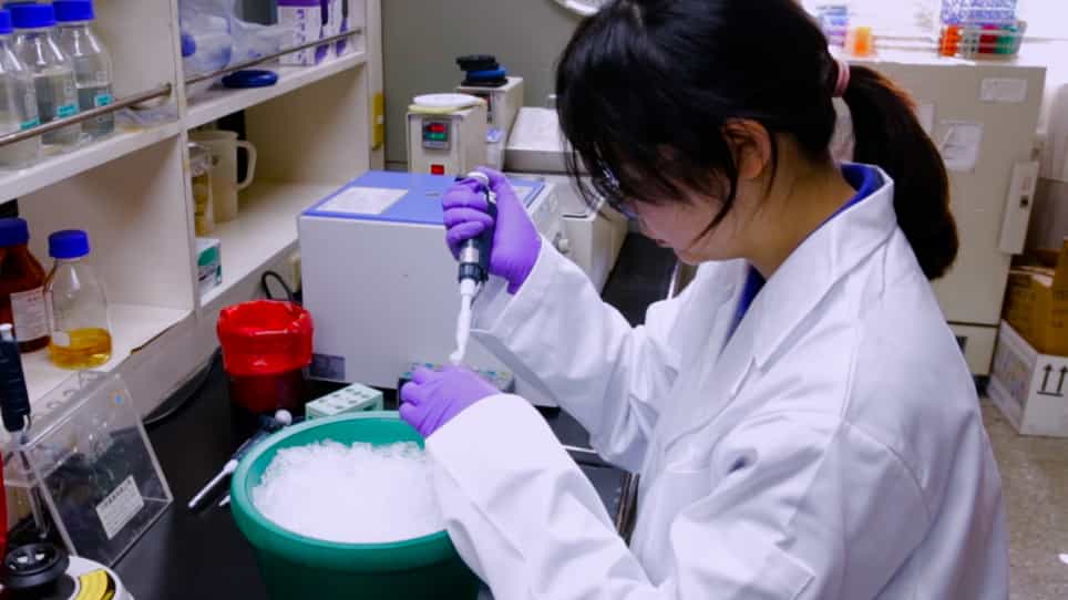 Uracil-DNA Glycosylase Assay by Matrix-assisted Laser Desorption/Ionization Time-of-flight Mass Spectrometry Analysis