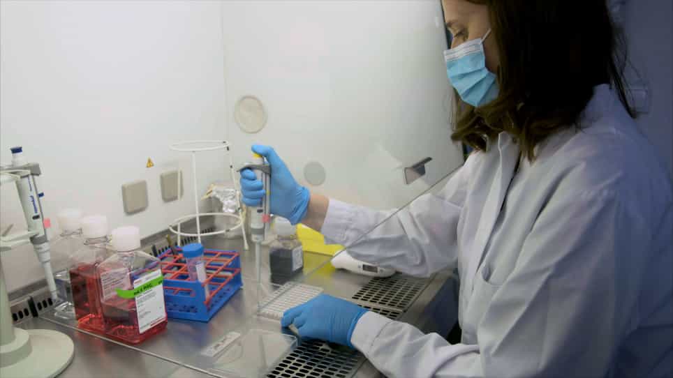 Injection of Porcine Adipose Tissue-Derived Stroma Cells via Waterjet Technology