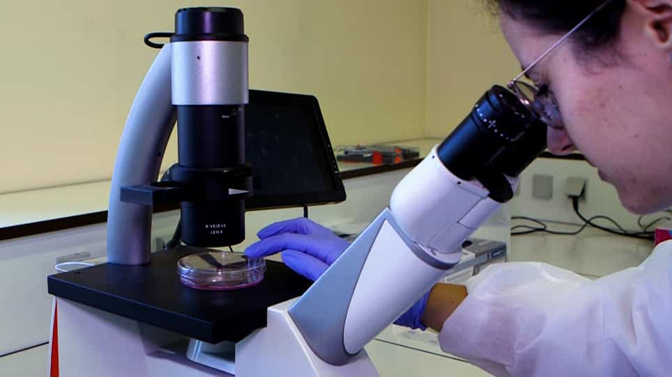 A Triple Culture Cell System Modeling the Human Blood-Brain Barrier