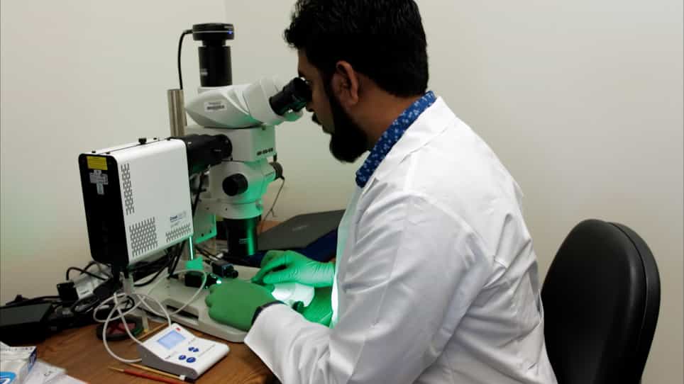 Monitoring Gut Acidification in the Adult Drosophila Intestine