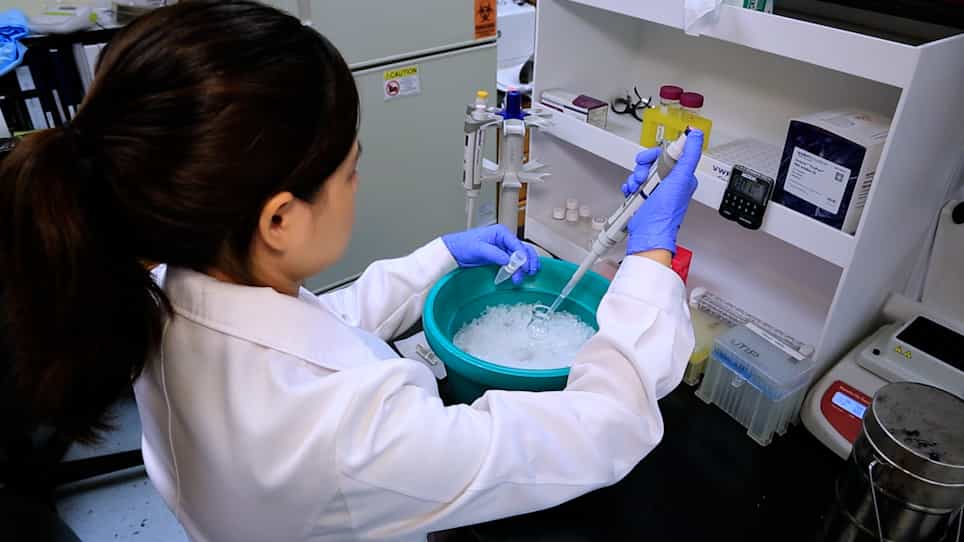 Isolate Cell-Type-Specific RNAs from Snap-Frozen Heterogeneous Tissue Samples without Cell Sorting
