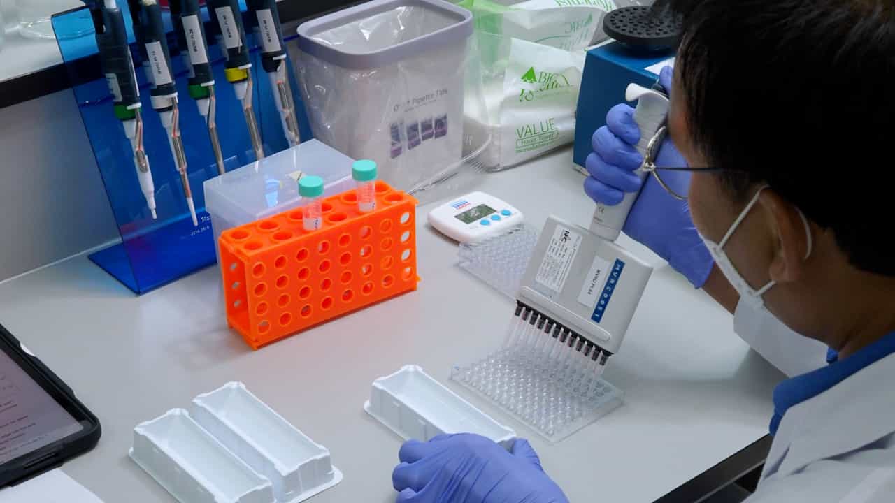 Detection of Plasmodium Sporozoites in Anopheles Mosquitoes using an Enzyme-linked Immunosorbent Assay