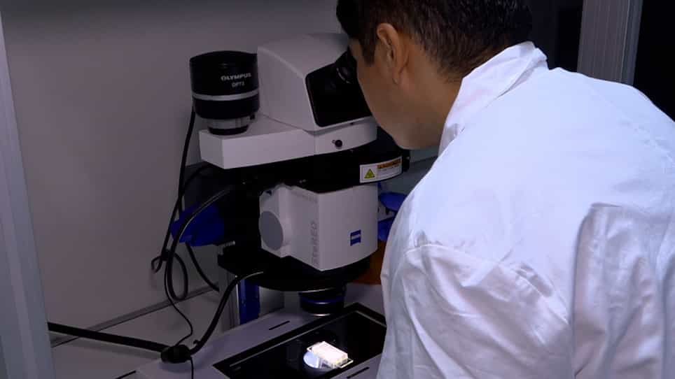 Ex Utero Culture of Mouse Embryos from Pregastrulation to Advanced Organogenesis