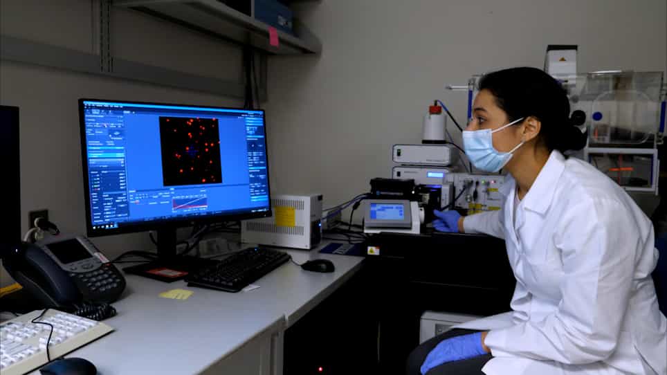 Visualization of Inflammatory Caspases Induced Proximity in Human Monocyte-Derived Macrophages