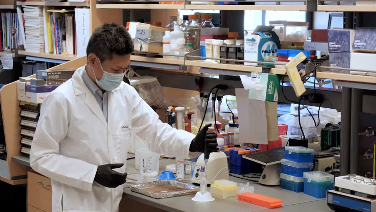 Identification of the Source of Secreted Proteins in the Kidney by Brefeldin A Injection