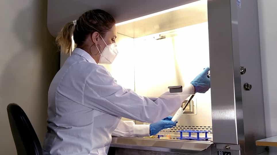 In Vitro Drug Screening Against All Life Cycle Stages of Trypanosoma cruzi Using Parasites Expressing β-galactosidase
