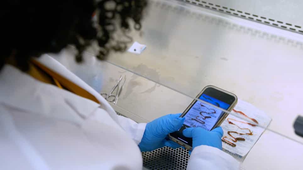 Chemical Cartography Approaches to Study Trypanosomatid Infection