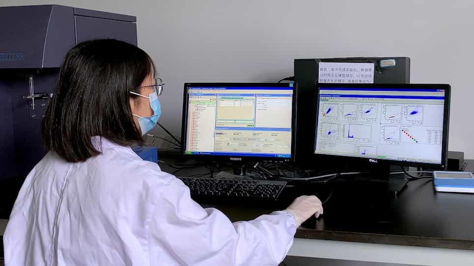 Functional Assessment of Kinesin-7 CENP-E in Spermatocytes Using In Vivo Inhibition, Immunofluorescence and Flow Cytometry