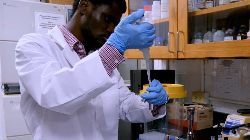 The Cultivation, Growth, and Viability of Lactic Acid Bacteria: A Quality Control Perspective