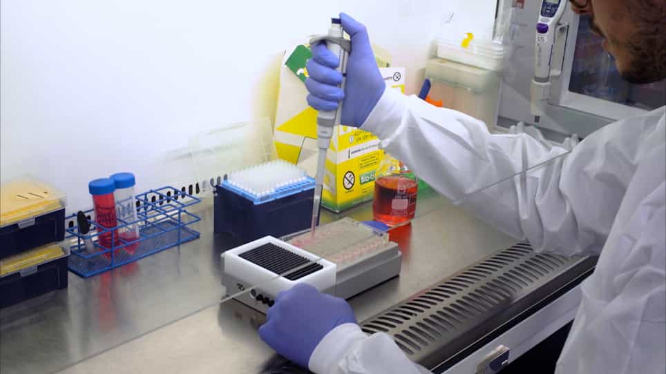 Human Liver Microphysiological System for Assessing Drug-Induced Liver Toxicity In Vitro