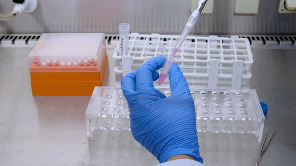 Low-input Nucleus Isolation and Multiplexing with Barcoded Antibodies of Mouse Sympathetic Ganglia for Single-nucleus RNA Sequencing