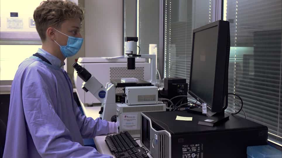 A Step-By-Step Method to Detect Neutralizing Antibodies Against AAV using a Colorimetric Cell-Based Assay