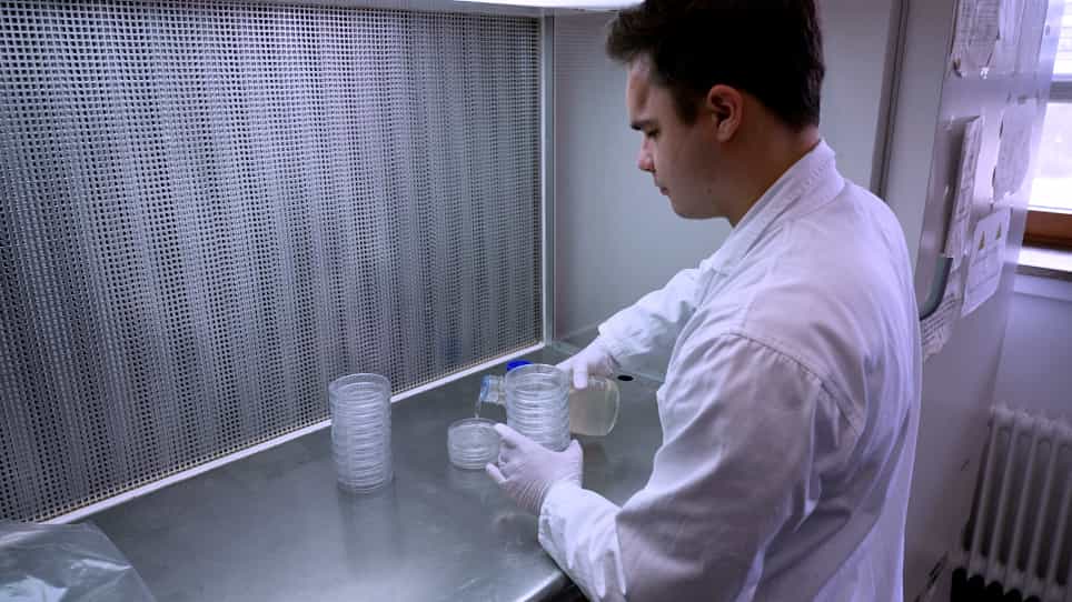 Inoculation Strategies to Infect Plant Roots with Soil-Borne Microorganisms