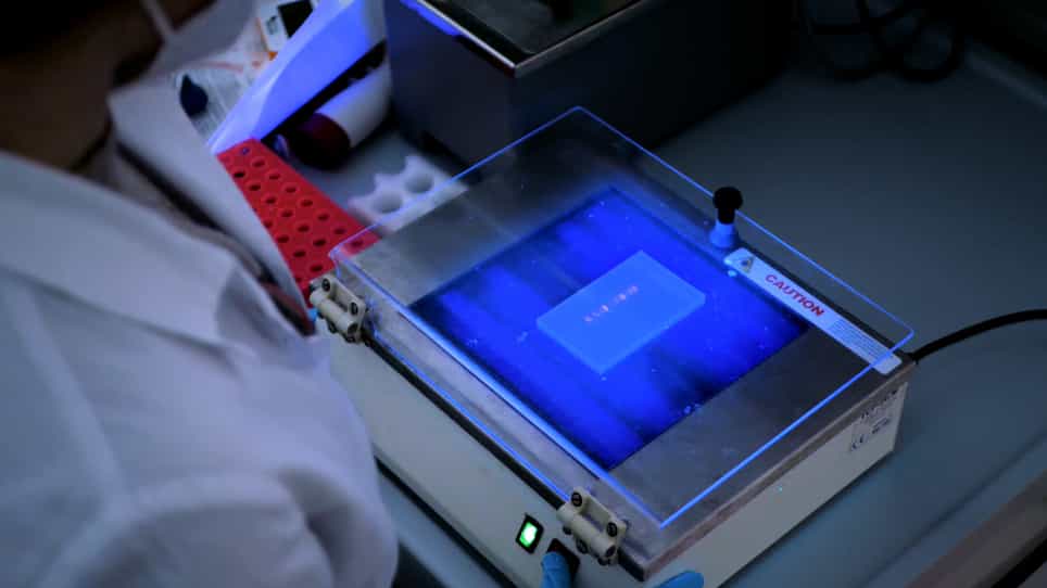 Bioprospecting of Extremophilic Microorganisms to Address Environmental Pollution
