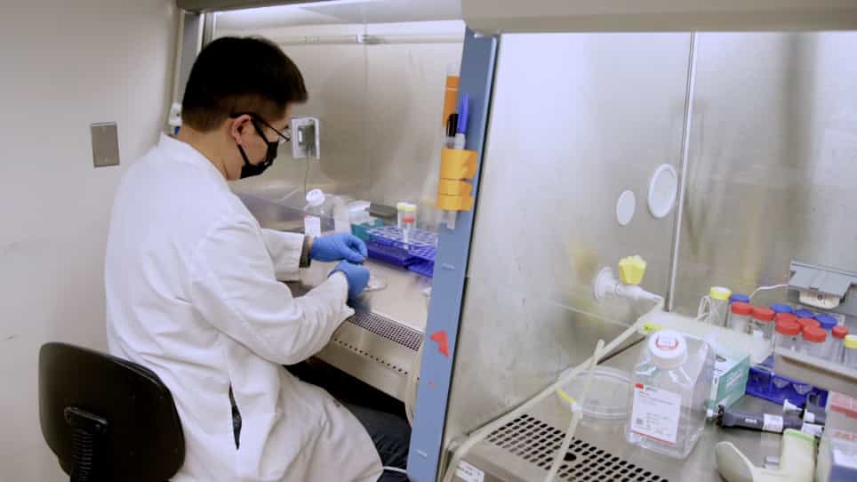 Assessing Energy Substrate Oxidation In Vitro with 14CO2 Trapping