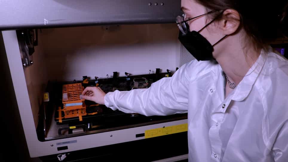 A Flame-Free Method for Sterilizing C. elegans Picks, Spatulas, and Scalpels