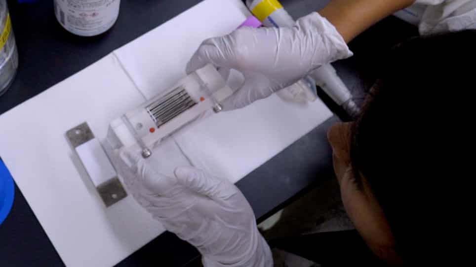 A Nonsequencing Approach for the Rapid Detection of RNA Editing