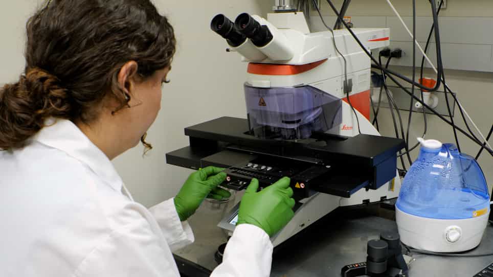 Laser Microdissection for Species-Agnostic Single-Tissue Applications