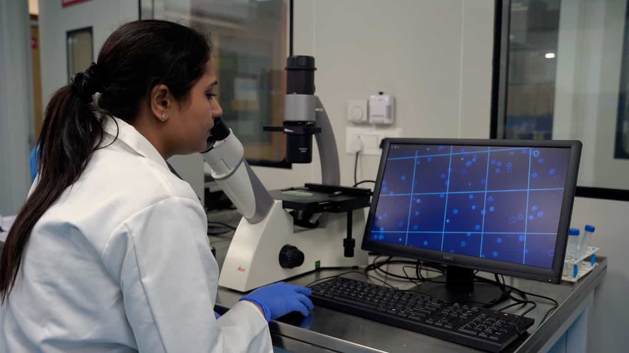 Reverse Genetics to Engineer Positive-Sense RNA Virus Variants