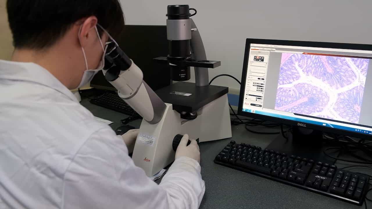Investigating the Alleviating Effects of Bacillus cereus Administration on Colitis through Gut Microbiota Modulation
