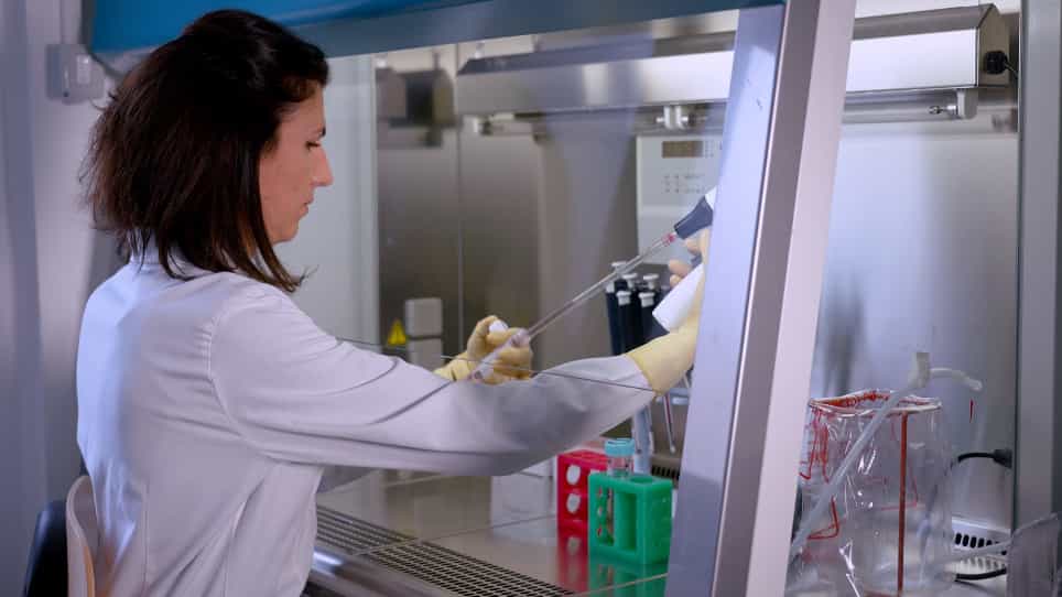 Establishment of Zebrafish Patient-Derived Xenografts from Pancreatic Cancer for Chemosensitivity Testing