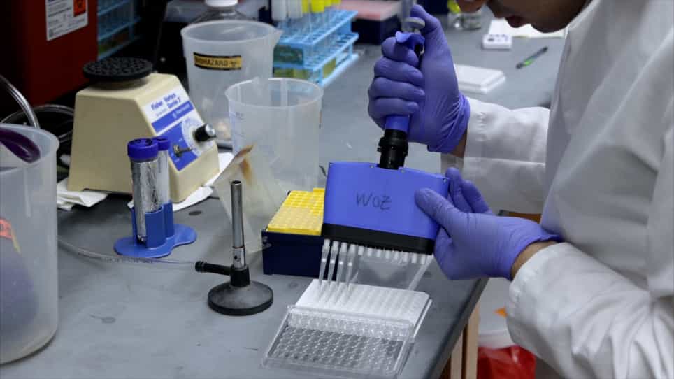 Standardized In vitro Assays to Visualize and Quantify Interactions between Human Neutrophils and Staphylococcus aureus Biofilms