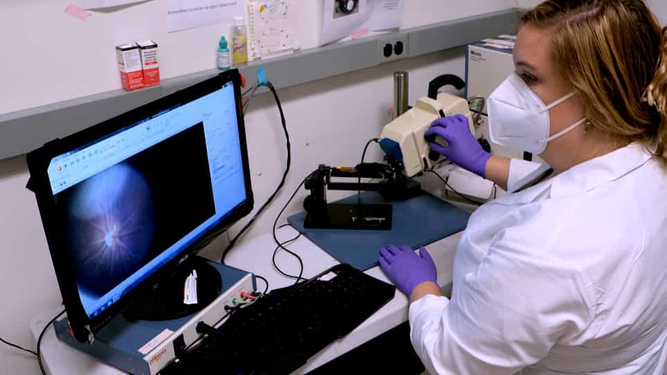 In Vivo Vascular Injury Readouts in Mouse Retina to Promote Reproducibility