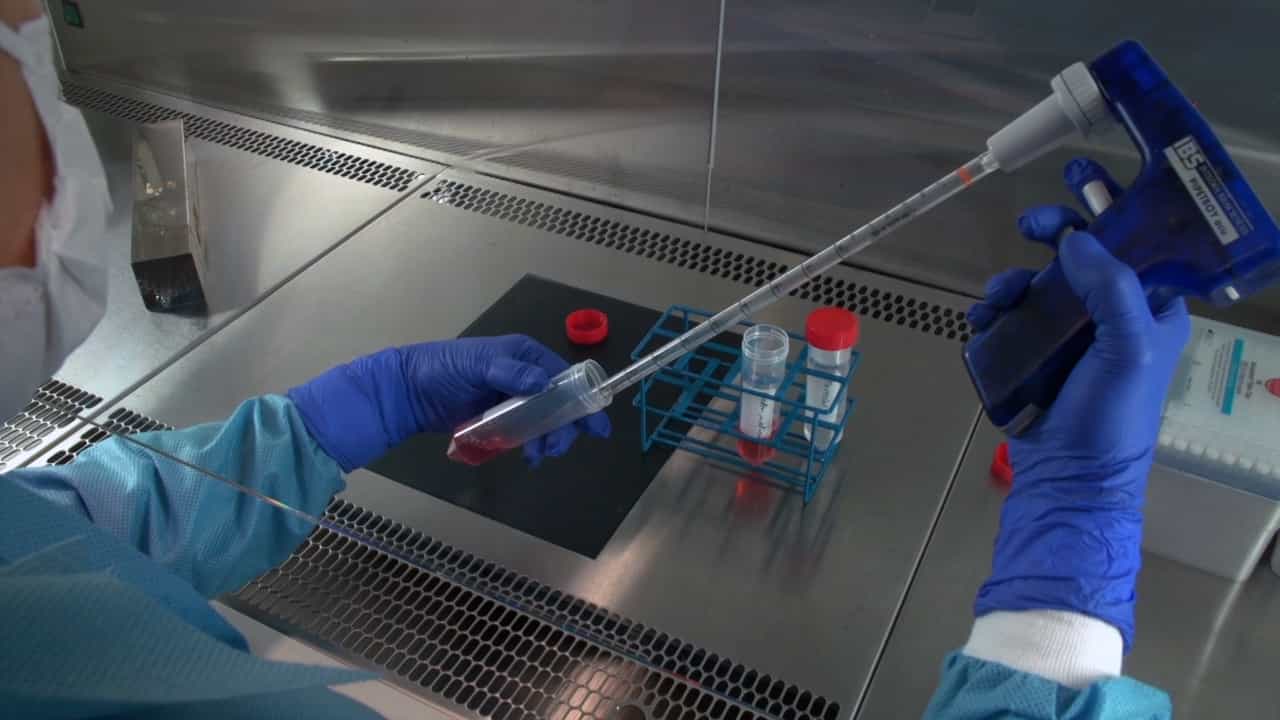 Rapid, Cost-Efficient, Enzyme-Free Passaging of Human Pluripotent Stem Cells on Feeder Cells by Ethylenediaminetetraacetic Acid-Mediated Dis-Adhesion