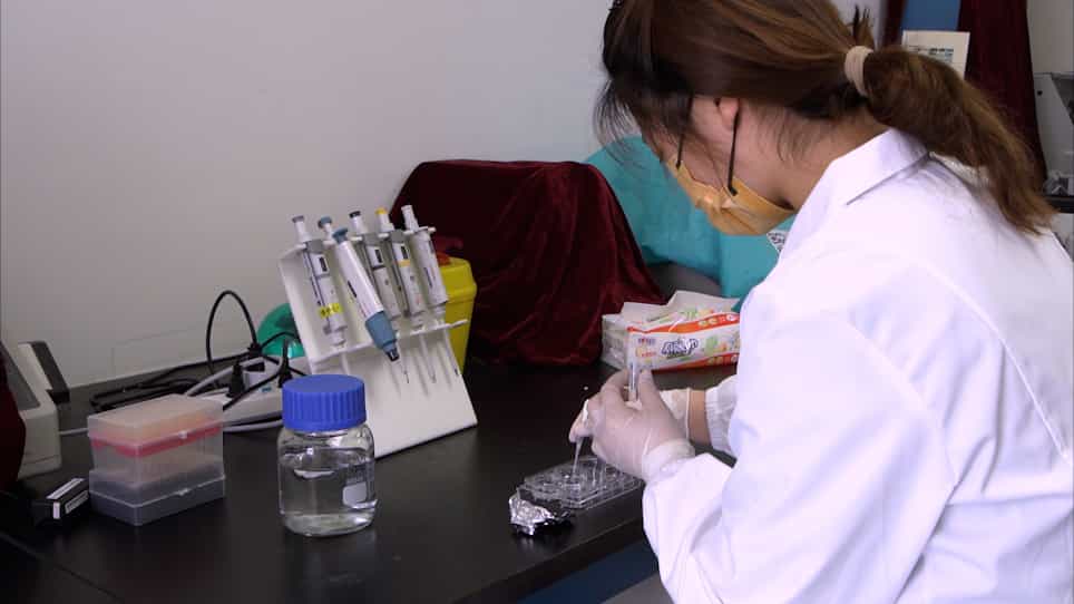 Demonstrating Hairy and Glabrous Skin Innervation in a 3D Pattern Using Multiple Fluorescent Staining and Tissue Clearing Approaches